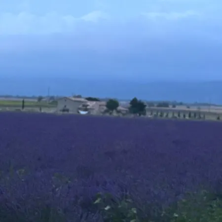 Гостевой дом Domaine D'angouire