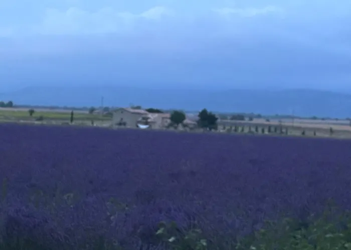 Гостевой дом Domaine D'angouire