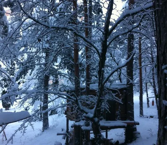 Гостевой дом Domaine D'angouire