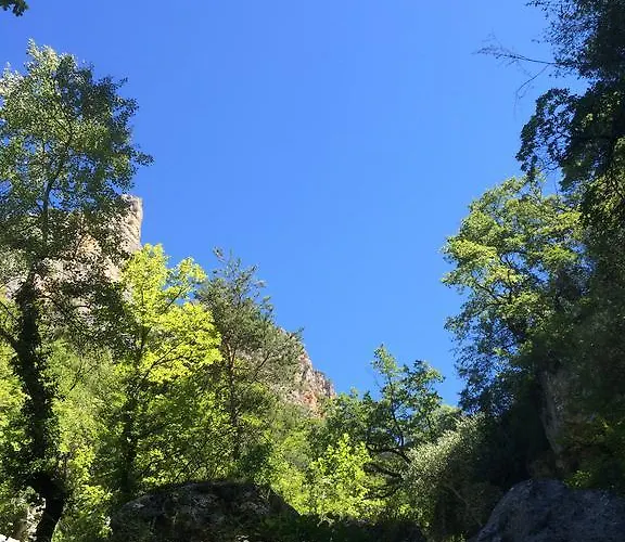 Domaine D'angouire 3* Мустье-Сент-Мари