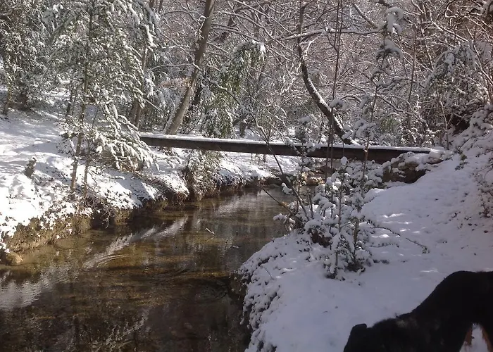 Domaine D'angouire 3*