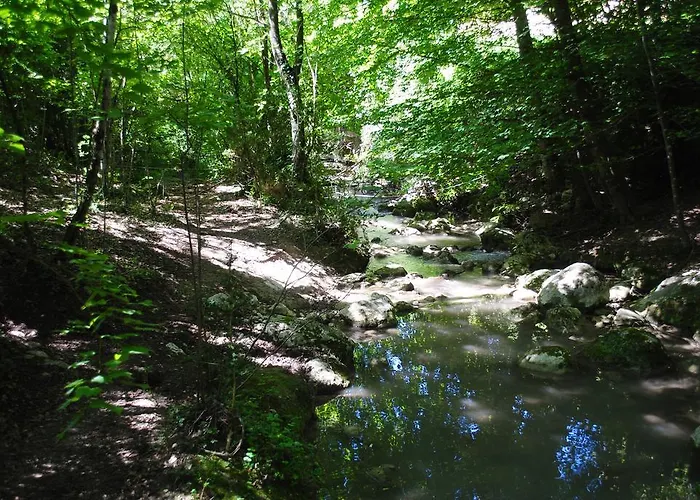 Domaine D'angouire Moustiers-Sainte-Marie