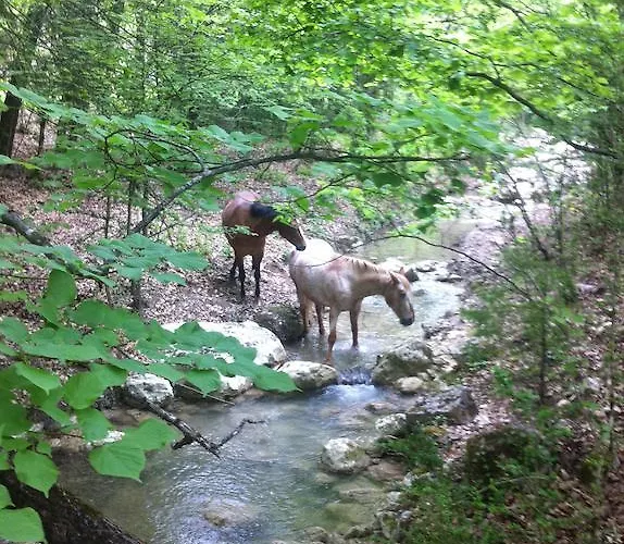 Affittacamere Domaine D'angouire Moustiers-Sainte-Marie