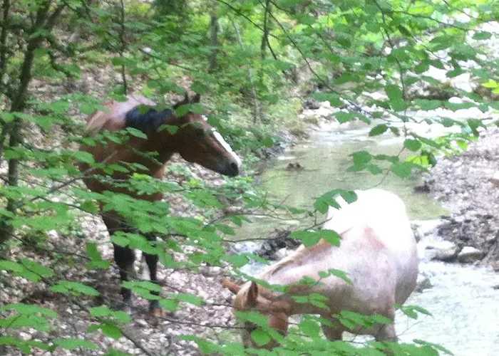 Affittacamere Domaine D'angouire